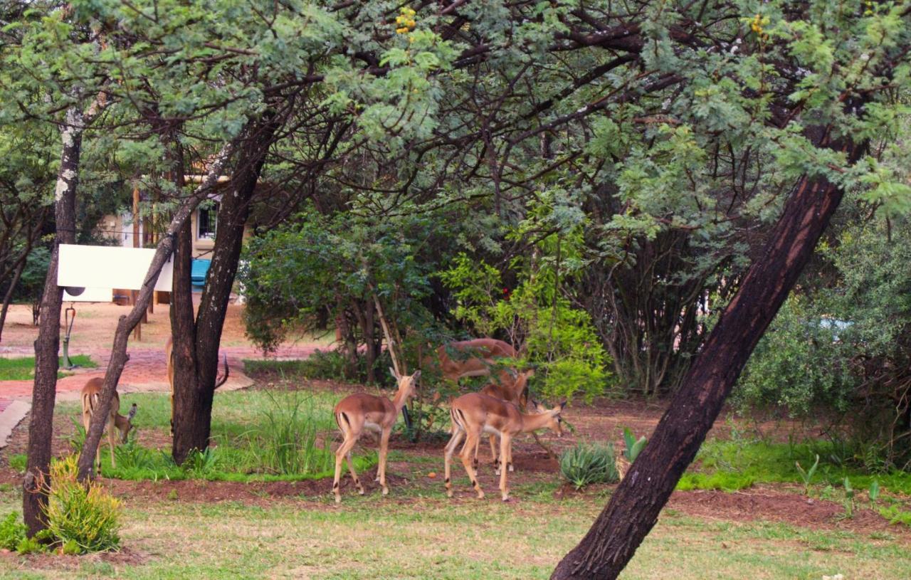 Suzie'S Loft - Nude - Suneden Family Naturist Resort Pretoria-Noord 外观 照片